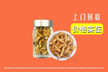 收购资讯:咸阳乾县回收散虫草