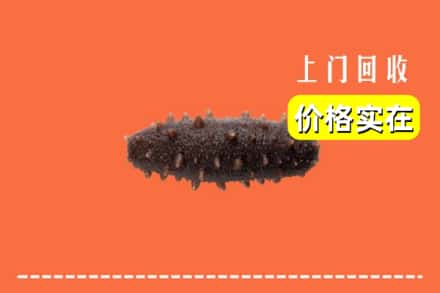 收购资讯:咸阳乾县回收海参