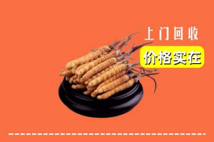 咸阳乾县回收冬虫夏草
